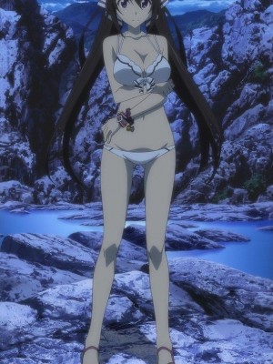 [剥ぎコラ] IS 〈インフィニット・ストラトス〉-1280x_77_77_7