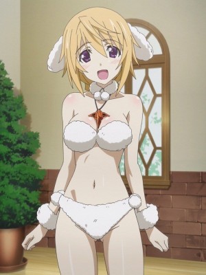 [剥ぎコラ] IS 〈インフィニット・ストラトス〉-1280x_79_79_1