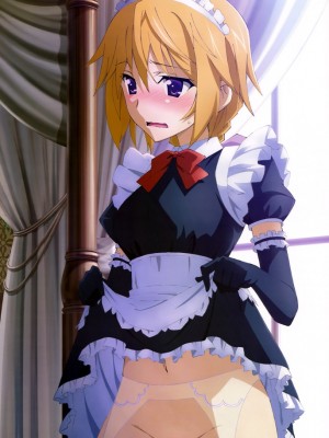 [剥ぎコラ] IS 〈インフィニット・ストラトス〉-1280x_83_80