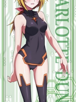 [剥ぎコラ] IS 〈インフィニット・ストラトス〉-1280x_89_91_3