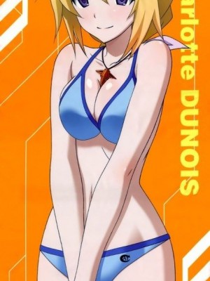 [剥ぎコラ] IS 〈インフィニット・ストラトス〉-1280x_94_97_1