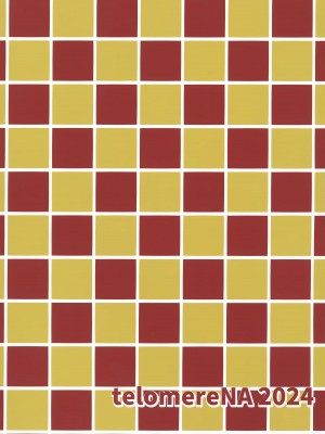 (C104) [てろめあな (ぐすたふ)] はじめてつけない (機動戦士ガンダムSEED)｜第一次的黏膜接触 [欶澜汉化组]_31