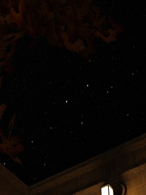 [Gou] 异界淫旅 02（无水印、无码、完整版）_02_023