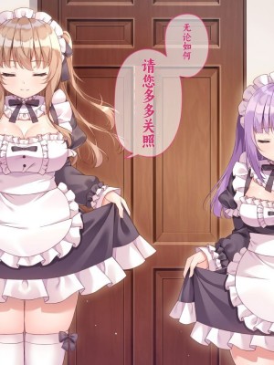 [アネモネ＊ (しおの)] 可愛いメイド姉妹のいる生活｜和可爱的女仆姐妹的生活 [不会用ps个人汉化]_024