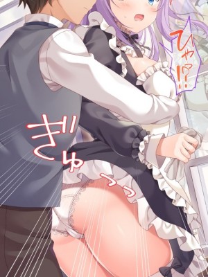 [アネモネ＊ (しおの)] 可愛いメイド姉妹のいる生活｜和可爱的女仆姐妹的生活 [不会用ps个人汉化]_281