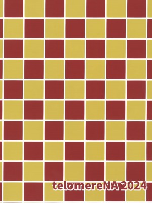 (C104) [てろめあな (ぐすたふ)] はじめてつけない (機動戦士ガンダムSEED)_31