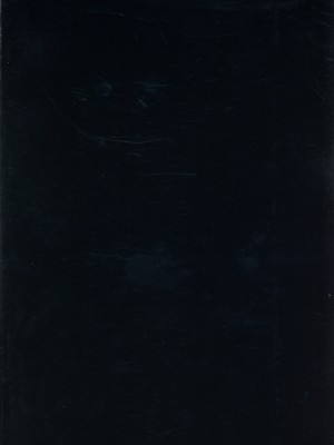 [吟醸マゴッツ (くろたま)] この魔法使い絶対に雌豚オナホ嫁にする (葬送のフリーレン)_02