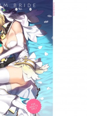 [ダイコテツ団 (92M)] PLATINUM BRIDE 白金の花嫁 (Fate／Grand Order) [DL版]_18