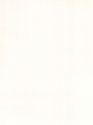 (ふたけっと32) [シリコン自重 (Condessa)] クスリと◯◯◯は使い過ぎ注意。 [中国翻訳]_38