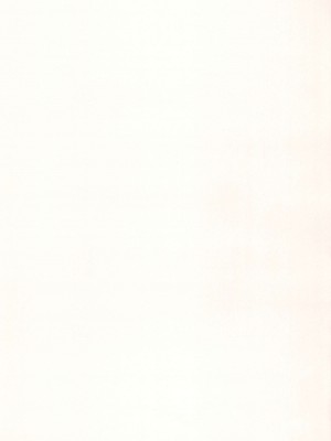 (ふたけっと32) [シリコン自重 (Condessa)] クスリと◯◯◯は使い過ぎ注意。 [中国翻訳]_03