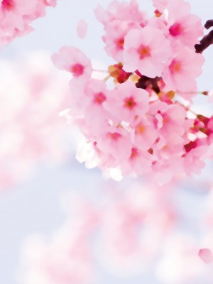 [イッシー13] 発情女神の盲愛えっち_185