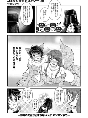 COMIC 夢幻転生 2024年11月号 [DL版]_509