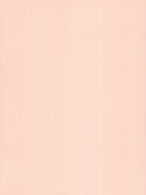 (BanG Dreamer’s Party! 14th STAGE) [雨天決行 (栗崎きんぐ)] 花音さんが幼女になっても (BanG Dream!)&nbsp;&nbsp;[朝霧伊千奈個人漢化]_04