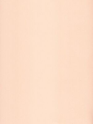 (BanG Dreamer’s Party! 14th STAGE) [雨天決行 (栗崎きんぐ)] 花音さんが幼女になっても (BanG Dream!)&nbsp;&nbsp;[朝霧伊千奈個人漢化]_03