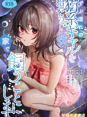 [聖華快楽書店 (エルトリア，ちょこみんと，七剣なな，高橋徹)] ずぶ濡れの猫系ギャルを拾ったので家で飼うことにします [DL版] [摆烂吃瓜汉化]_02