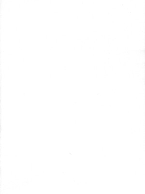 (C104) [よからヌ夜空 (よから)] 戌×猫 (猫又おかゆ、戌神ころね) [中国翻訳]_04