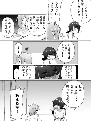 [エコギ] 引きこもりの姉にちんちんが生えたら_38