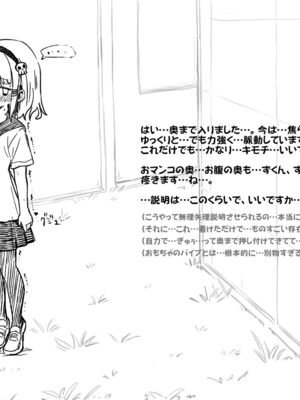 [あかしろいしいし] 蟲バイブと言いなり少女_049_AKISD01_D_C001