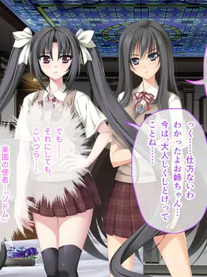 [ポーション] 戦うヒロイン敗北! ～身体と心に恥辱の限りを尽くされる～ 総集編 [DL版]_0014