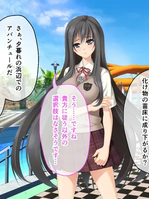 [ポーション] 戦うヒロイン敗北! ～身体と心に恥辱の限りを尽くされる～ 総集編 [DL版]_0077