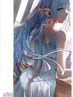 (COMIC1☆25) [くわい屋 (hews)] forbidden GRIMOIRE (葬送のフリーレン)_40