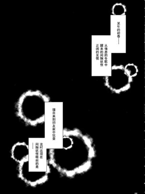 (C81) [04U (陵たすく)] 年増艶・0 (東方Project) [中国翻訳]_05