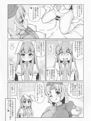 [魔導資料室 (嵐-D-悪鬼羅、佐々木てろん、emina)] E2 (東方Project)_23