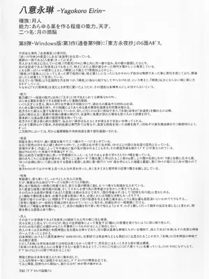 [魔導資料室 (嵐-D-悪鬼羅、佐々木てろん、emina)] E2 (東方Project)_25