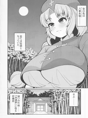 [魔導資料室 (嵐-D-悪鬼羅、佐々木てろん、emina)] E2 (東方Project)_03