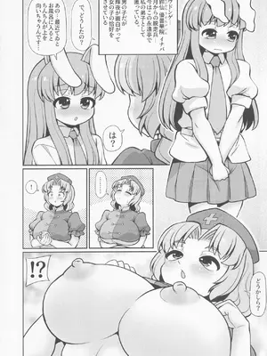 [魔導資料室 (嵐-D-悪鬼羅、佐々木てろん、emina)] E2 (東方Project)_05