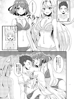 (C103) [ShaDraw (かげみや)] にゃんにゃんニアちゃん2 (ゼノブレイド2)_11
