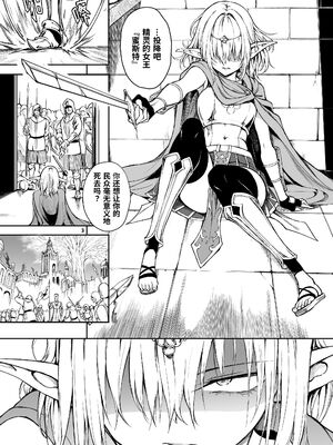 [きょくちょ局 (きょくちょ)] エルフ教育。 -亡国のミスト- [中国語] [無修正] [DL版]_003