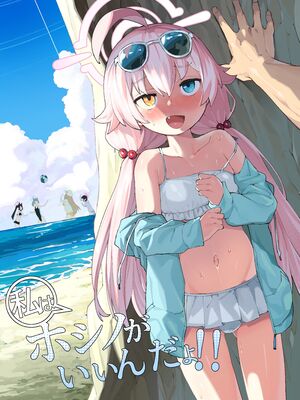 [半里プラザー (半里バード)] ホシノがいいんだよ!! (ブルーアーカイブ) [hEROs汉化组] [無修正] [DL版]_02_00