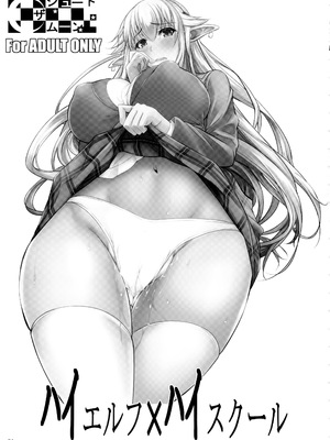 [シュート・ザ・ムーン (フエタキシ)] ハイエルフ×ハイスクール [我尻故我在個人漢化] [無修正]_sc001