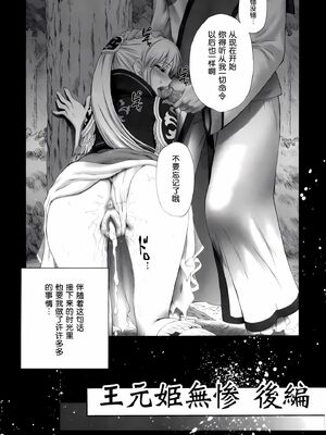 [U.R.C (桃屋しょう猫)] 王元姫無惨 後編 (真・三國無双) [中国翻訳][暗狼去码][無修正][DL版]_004
