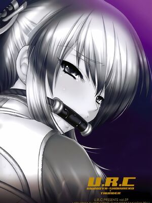 [U.R.C (桃屋しょう猫)] 王元姫無惨 後編 (真・三國無双) [中国翻訳][暗狼去码][無修正][DL版]_048