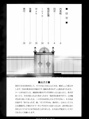 [U.R.C (桃屋しょう猫)] 甄姫乱舞 (真・三國無双) [中国翻訳][暗狼去码][無修正][DL版]_003