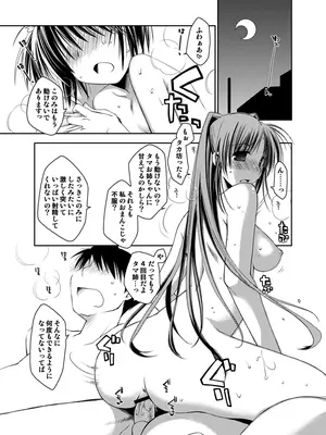 [ぽんこつわーくす] ぽんこつはとまとめ (トゥハート2)_312