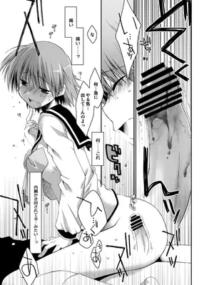 [ぽんこつわーくす] ぽんこつはとまとめ (トゥハート2)_340