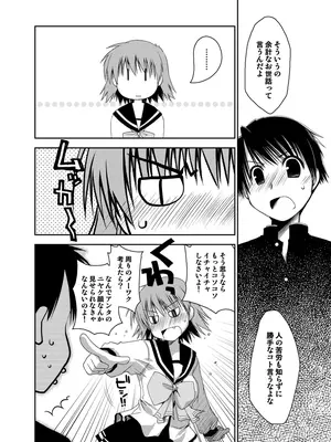 [ぽんこつわーくす] ぽんこつはとまとめ (トゥハート2)_333