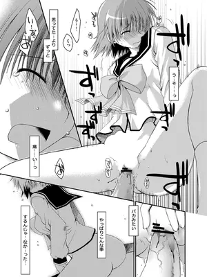 [ぽんこつわーくす] ぽんこつはとまとめ (トゥハート2)_338