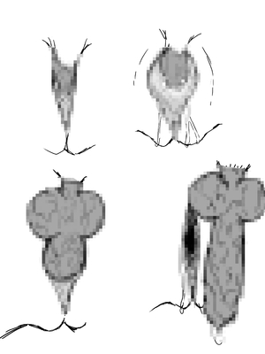 [＊NIKA＊] The Adventures of Sakura & Max [MK6HX个人汉化]_218