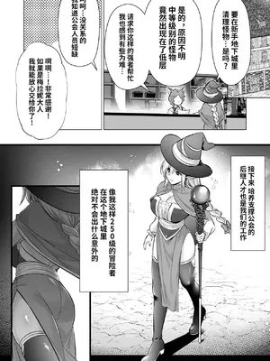 [姫屋 (阿部いのり)] レベル250の魔法使いが感覚遮断落とし穴に堕ちてレベルドレインで人生が終わるまで [光阴个人汉化]_03