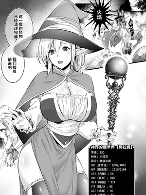 [姫屋 (阿部いのり)] レベル250の魔法使いが感覚遮断落とし穴に堕ちてレベルドレインで人生が終わるまで [光阴个人汉化]_02