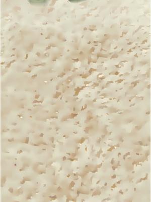 [韩漫] 姐姐们的调教／My Sister’s Friends [中文][已完结]_1699