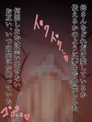 [ハスラーズ] 四畳半の狭い部屋で夫婦生活している母子_055