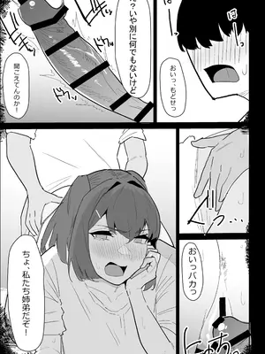 [ぷりんたい] 彼氏持ちの仕方なく抜いてくれる爆乳な姉_071