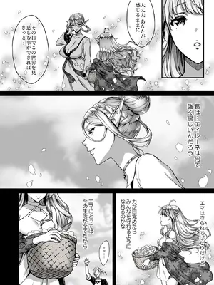 [H.B.A (うさぎなごむ)] 黄昏の娼エルフ総集編-エマ前編_036