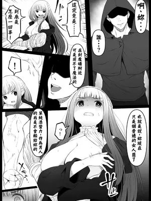 [ごまゴリラ] 幻覚魔法 (葬送のフリーレン) [魔法个人汉化]_09