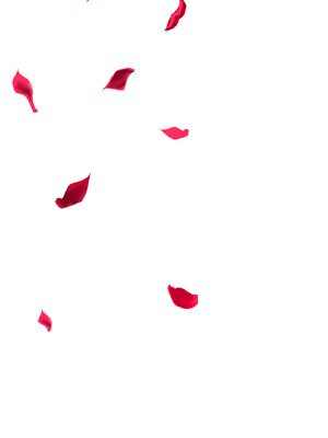 [牡丹もちと] マグロメイドもみんなもしこたまえっち！_229